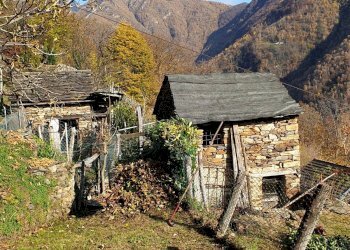 Foto 18 - Rustico Valle Cannobina - Falmenta, Valle Cannobina - foto 18