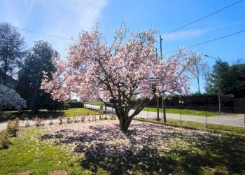 Foto 6 - Casa semi indipendente Via Salussola
 
19, Massazza - foto 6