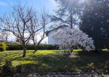 Foto 7 - Casa semi indipendente Via Salussola
 
19, Massazza - foto 7