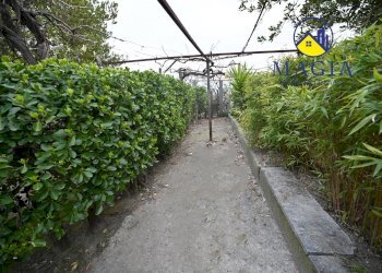 Foto 27 - Casa indipendente 59, Appignano del Tronto - foto 27