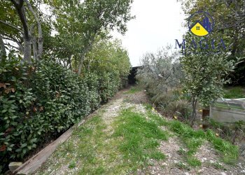 Foto 29 - Casa indipendente 59, Appignano del Tronto - foto 29