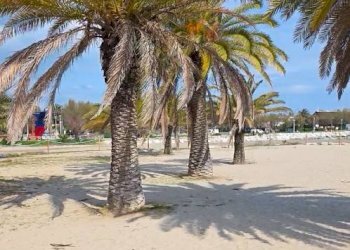 Foto 16 - Trilocale 4, San Benedetto del Tronto - foto 15