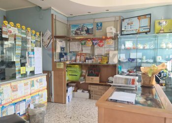 Lotto - Attività Commerciale VIA Brancati
77/A, Gibellina - foto 4