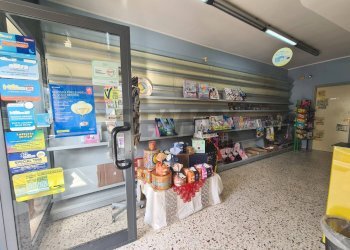 Giornali - Attività Commerciale VIA Brancati
77/A, Gibellina - foto 6