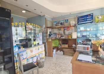 Gratta e Vinci - Attività Commerciale VIA Brancati
77/A, Gibellina - foto 12
