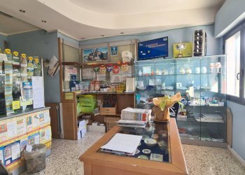 Superenalotto - Attività Commerciale VIA Brancati
77/A, Gibellina - foto 15