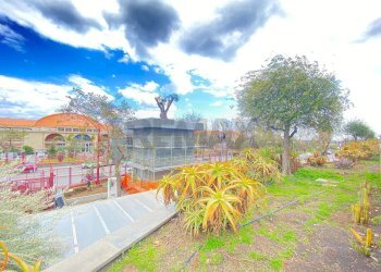 Giardino - Ufficio Viale Cristoforo Colombo, San Giovanni la Punta - foto 44