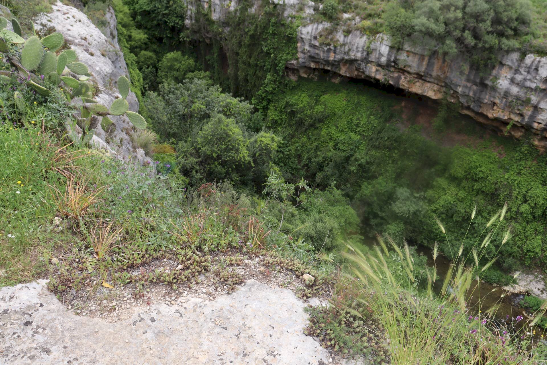 Giardino - Agricultural land via  parisi, Mascali - photo 1
