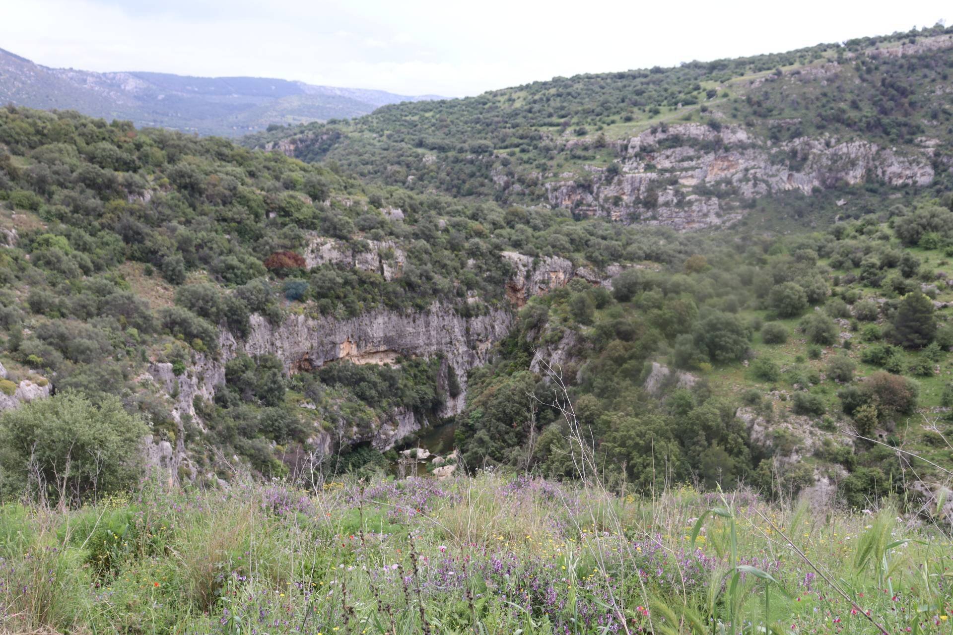 Vista delle montagne - Agricultural land via  parisi, Mascali - photo 2