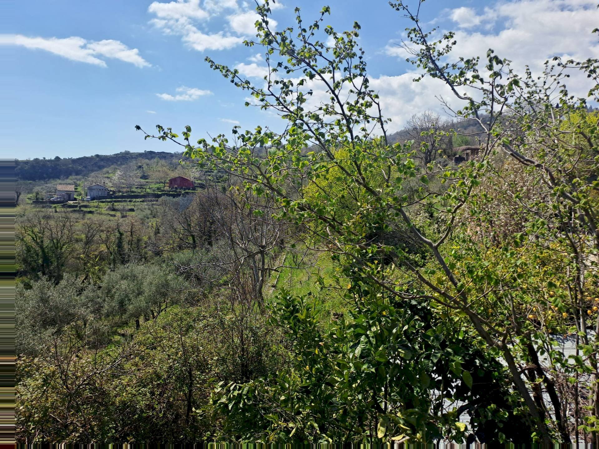 Vista delle montagne - Terreno agricolo via  parisi, Mascali - foto 3