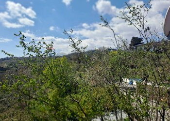 Edificio all\'aperto - Agricultural land via parisi, Mascali - photo 5