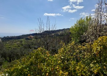 Vista delle montagne - Agricultural land via parisi, Mascali - photo 7