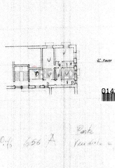 Pianta 2D - Quadrilocale Via Gemmellaro
 
40, Catania - planimetria 1