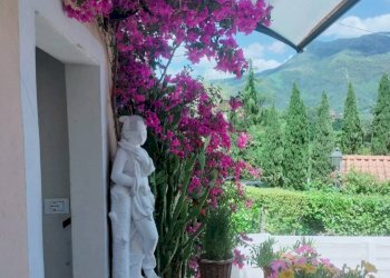 Giardino - Independent house Via  della Canonica
 
66, Camaiore - photo 1