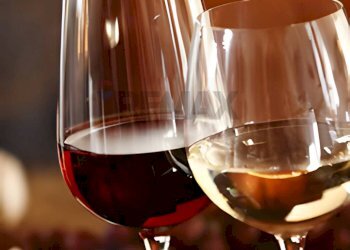 Dettagli - Bar Tavola Calda - Fredda Torino - foto 15