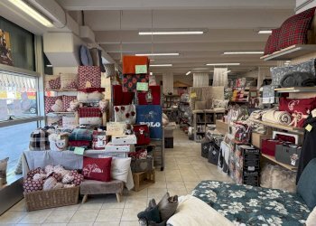 Dispensa di stoccaggio - Attività Commerciale Via Cima I Prà
 
9, Ponte nelle Alpi - foto 4