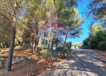 esterno - Villa Località Piano Piccolo
SNC, Vieste - photo 19