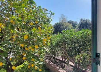 Foto 24 - Villa Via Coreallo
 
4A, Spotorno - foto 24