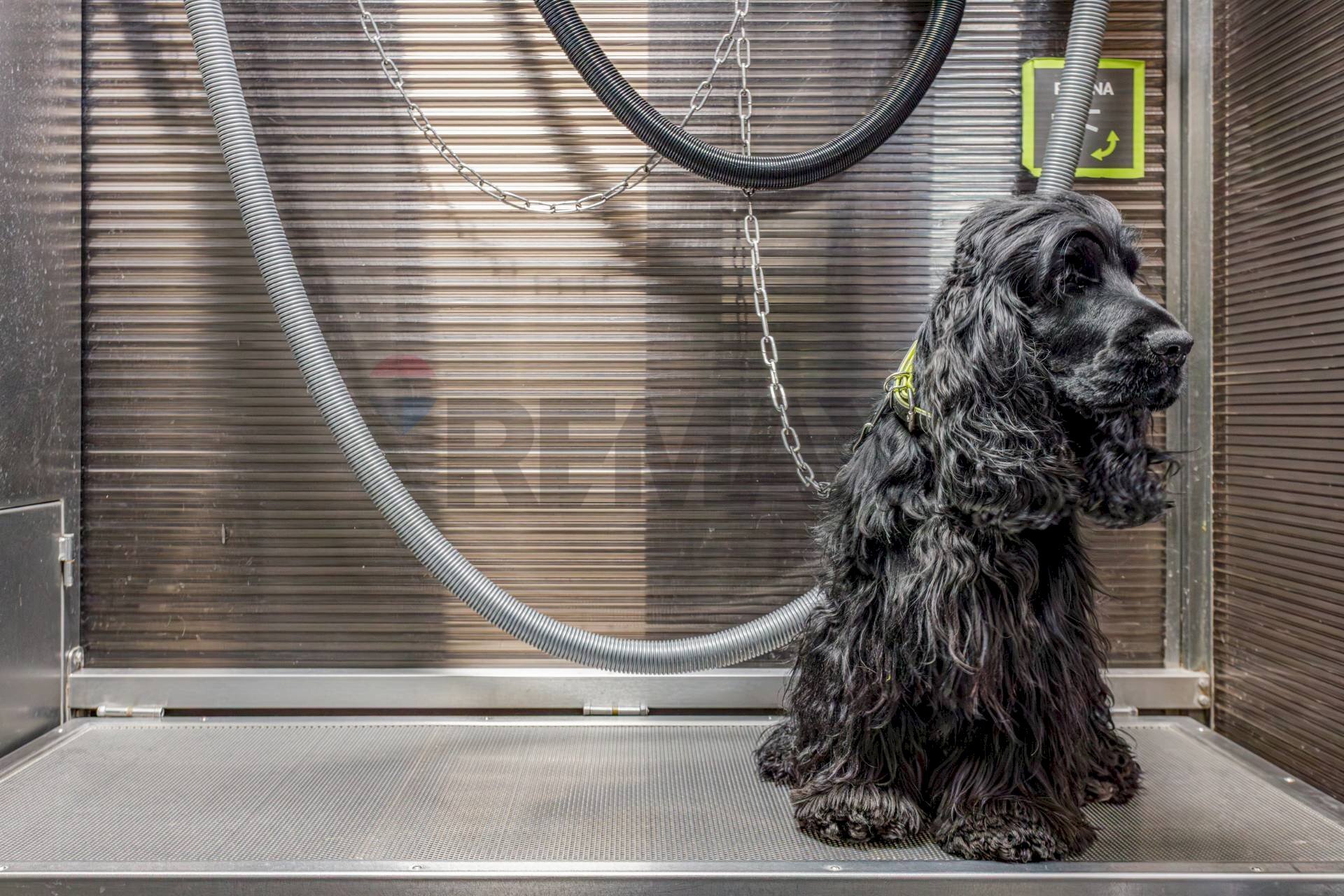 Dettagli - Commercial Activity Via Ferruccio Ferrari
 
2/f, Reggio nell'Emilia - photo 2