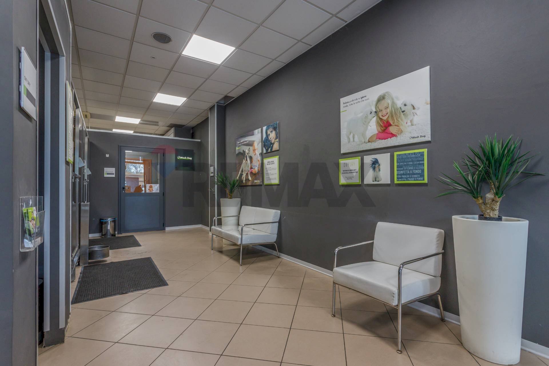 Ricezione / Lobby - Commercial Activity Via Ferruccio Ferrari
 
2/f, Reggio nell'Emilia - photo 3