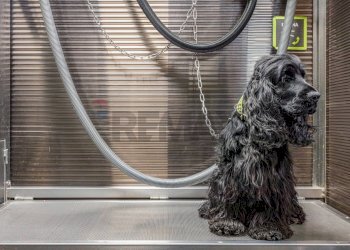 Dettagli - Commercial Activity Via Ferruccio Ferrari
2/f, Reggio nell'Emilia - photo 2