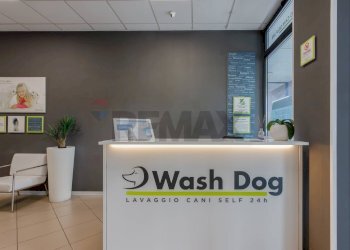 Ricezione / Lobby - Commercial Activity Via Ferruccio Ferrari
2/f, Reggio nell'Emilia - photo 7