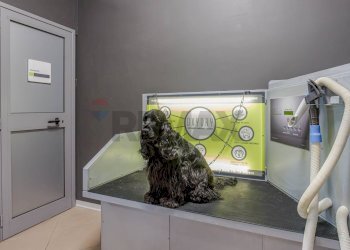 Dettagli - Commercial Activity Via Ferruccio Ferrari
2/f, Reggio nell'Emilia - photo 9