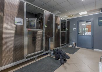 Ricezione / Lobby - Commercial Activity Via Ferruccio Ferrari
2/f, Reggio nell'Emilia - photo 11