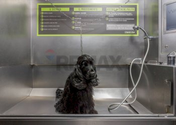 Non correlato - Commercial Activity Via Ferruccio Ferrari
2/f, Reggio nell'Emilia - photo 15