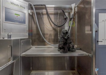 Bagno - Commercial Activity Via Ferruccio Ferrari
2/f, Reggio nell'Emilia - photo 16