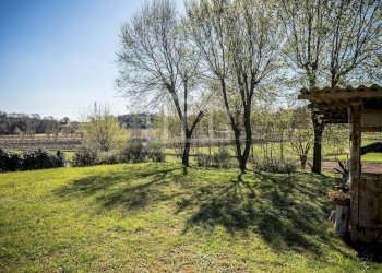 Foto 24 - Rustico Strada Sabbioni
 
7, Monzambano - foto 24