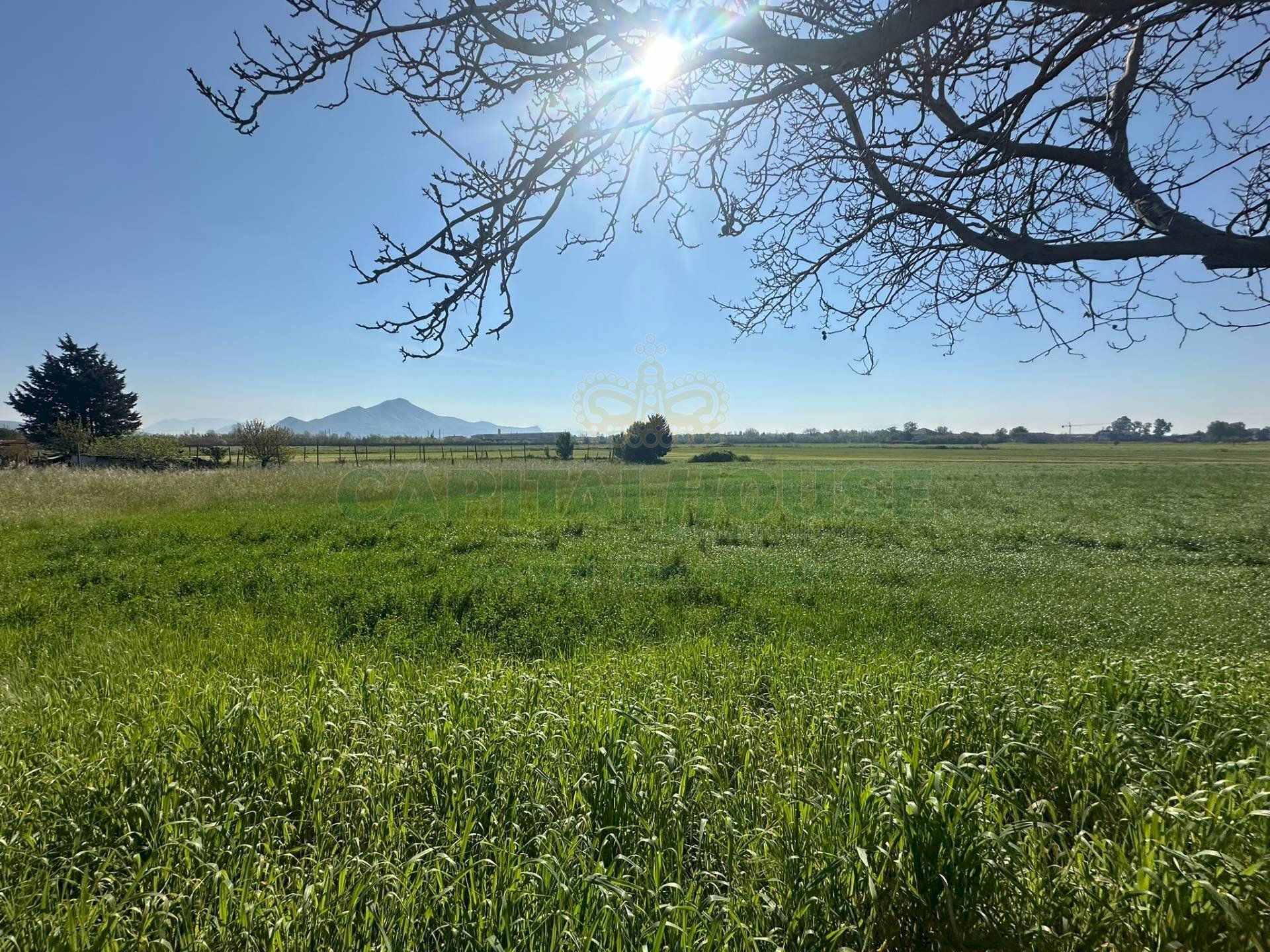 Foto 3 - Terreno edificabile VIA SILVAGNI, Capua - foto 3