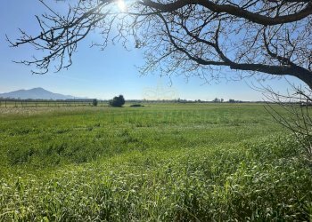 Foto 1 - Terreno edificabile VIA SILVAGNI, Capua - foto 1