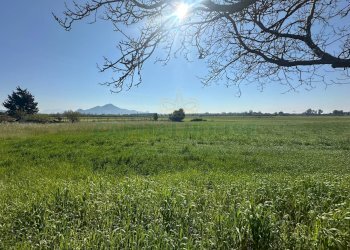 Foto 3 - Terreno edificabile VIA SILVAGNI, Capua - foto 3