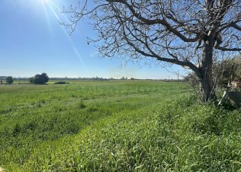 Foto 4 - Terreno edificabile VIA SILVAGNI, Capua - foto 4