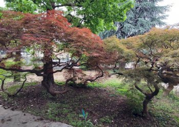 Foto 8 - Bilocale Viale Vittorio Veneto, Grumello del Monte - foto 8