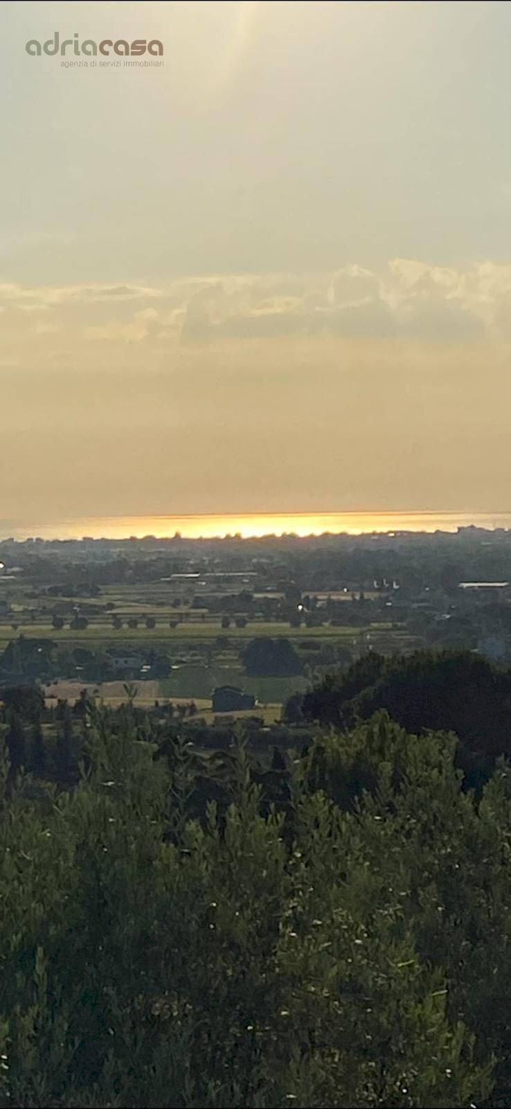 Foto 3 - Terreno agricolo Via Pertini, Coriano - foto 3