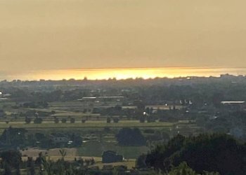 Foto 3 - Terreno agricolo Via Pertini, Coriano - foto 3