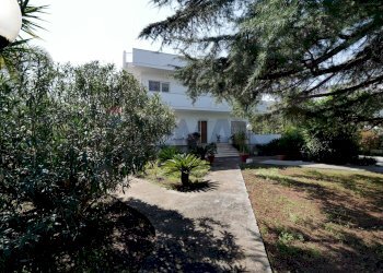 Giardino - Villa traversa 234F di via Napoli, Bari - foto 1