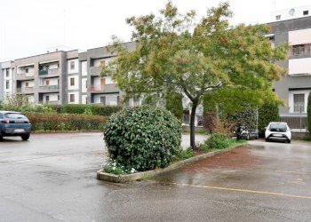 Edificio all\'aperto - Trilocale Via Don Carlo Gnocchi
 
3, Bari - foto 18