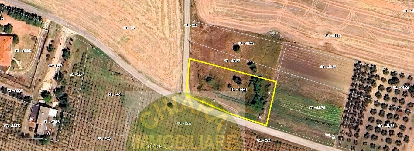 Foto 2 - Agricultural land Contrada Montalfano, Cupello - photo 2