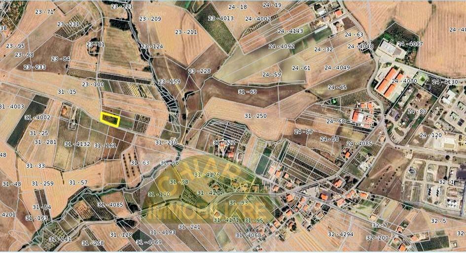 Foto 3 - Agricultural land Contrada Montalfano, Cupello - photo 3