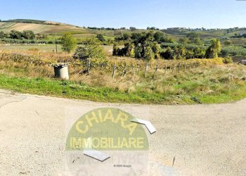 Foto 1 - Agricultural land Contrada Montalfano, Cupello - photo 1