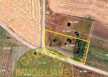 Foto 2 - Agricultural land Contrada Montalfano, Cupello - photo 2