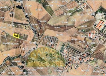 Foto 3 - Agricultural land Contrada Montalfano, Cupello - photo 3