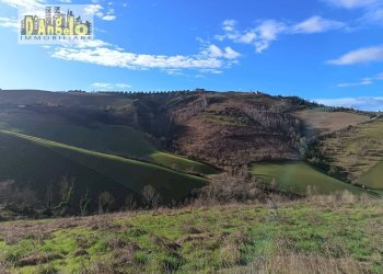 Foto 8 - Independent house Via Tesino
 
208, Offida - photo 8