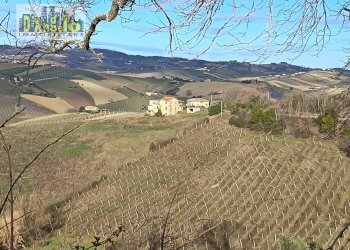 Foto 10 - Independent house Via Tesino
 
208, Offida - photo 10