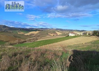 Foto 12 - Independent house Via Tesino
 
208, Offida - photo 12