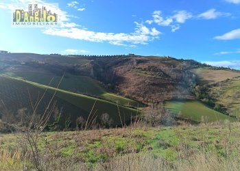 Foto 16 - Independent house Via Tesino
 
208, Offida - photo 16