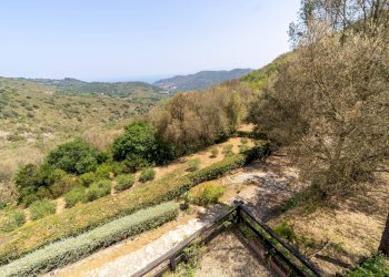 Foto 32 - Casa indipendente Località Albetreto
 
snc, Monte Argentario - foto 32